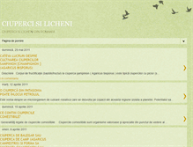 Tablet Screenshot of ciupercisilicheni.blogspot.com