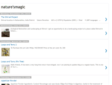 Tablet Screenshot of eco-magic.blogspot.com