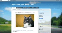 Desktop Screenshot of chat-maine-coon.blogspot.com