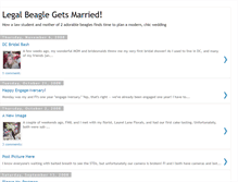 Tablet Screenshot of legalbeaglegetsmarried.blogspot.com