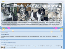 Tablet Screenshot of animaiscarentesjf.blogspot.com
