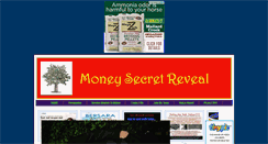 Desktop Screenshot of money-secret-reveal.blogspot.com