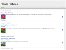 Tablet Screenshot of flowerpictures.blogspot.com