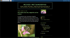 Desktop Screenshot of mixedmetamorphs.blogspot.com