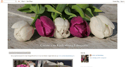 Desktop Screenshot of corinesfoto-gallery.blogspot.com