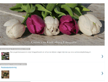 Tablet Screenshot of corinesfoto-gallery.blogspot.com