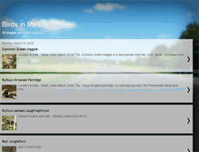 Tablet Screenshot of birding-dollylaishram.blogspot.com