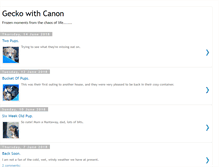 Tablet Screenshot of geckowithcanon.blogspot.com