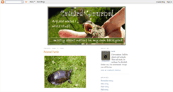 Desktop Screenshot of catbirdjournal.blogspot.com