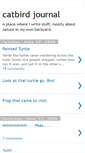 Mobile Screenshot of catbirdjournal.blogspot.com