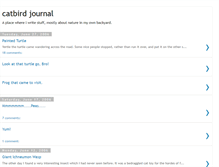 Tablet Screenshot of catbirdjournal.blogspot.com