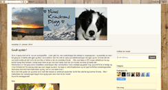 Desktop Screenshot of ninashusoghyttedrommer.blogspot.com