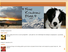 Tablet Screenshot of ninashusoghyttedrommer.blogspot.com