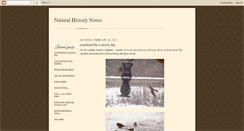 Desktop Screenshot of naturalist-amm.blogspot.com