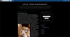 Desktop Screenshot of leslietownphotos.blogspot.com