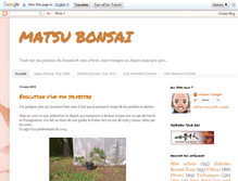 Tablet Screenshot of pinyamadori.blogspot.com