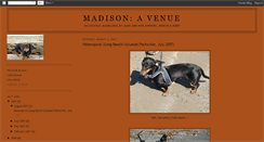 Desktop Screenshot of madison-a-venue.blogspot.com