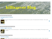 Tablet Screenshot of killis4ever.blogspot.com