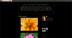 Desktop Screenshot of caryphotography.blogspot.com