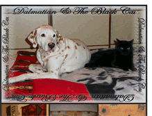 Tablet Screenshot of dalmatian-and-theblackcat.blogspot.com