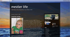 Desktop Screenshot of mestlerlife.blogspot.com