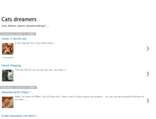Tablet Screenshot of catlunch.blogspot.com
