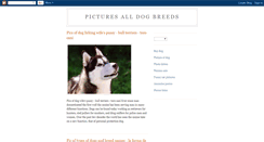 Desktop Screenshot of dog-image.blogspot.com