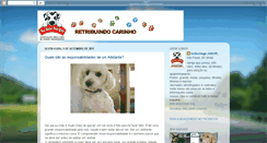 Desktop Screenshot of adocao-acaochego.blogspot.com