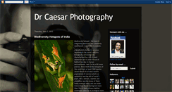 Desktop Screenshot of drcaesarphotography.blogspot.com