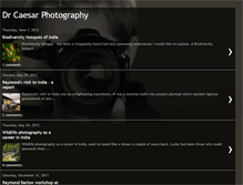Tablet Screenshot of drcaesarphotography.blogspot.com
