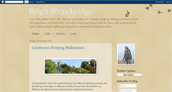 Desktop Screenshot of beestrawbridge.blogspot.com