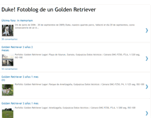 Tablet Screenshot of goldenduke.blogspot.com