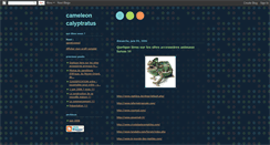 Desktop Screenshot of cameleon-calyptratus.blogspot.com