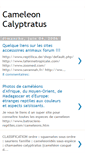 Mobile Screenshot of cameleon-calyptratus.blogspot.com