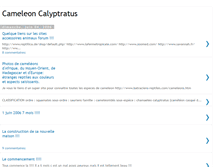 Tablet Screenshot of cameleon-calyptratus.blogspot.com