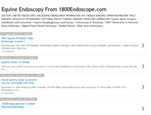 Tablet Screenshot of equine-endoscopy.blogspot.com