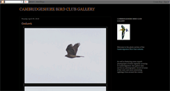 Desktop Screenshot of cambsbirdclub.blogspot.com