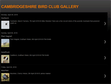 Tablet Screenshot of cambsbirdclub.blogspot.com
