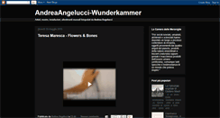 Desktop Screenshot of andreaangelucciwunderkammer.blogspot.com