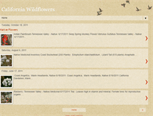 Tablet Screenshot of californiawildflowers.blogspot.com