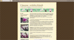 Desktop Screenshot of amazone-orchidees.blogspot.com