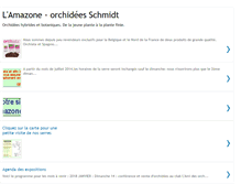 Tablet Screenshot of amazone-orchidees.blogspot.com