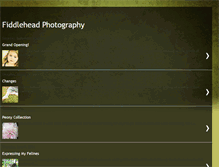 Tablet Screenshot of fiddlephoto.blogspot.com