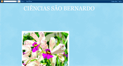 Desktop Screenshot of cienciasaobernardo.blogspot.com