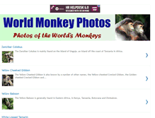 Tablet Screenshot of monkeysphotos.blogspot.com