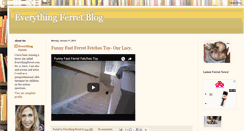 Desktop Screenshot of everythingferret.blogspot.com