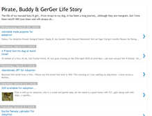 Tablet Screenshot of pirateandbuddy.blogspot.com