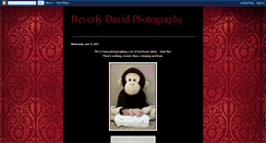 Desktop Screenshot of beverlydavidphoto.blogspot.com