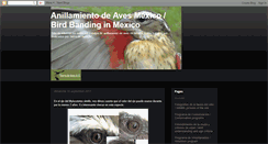 Desktop Screenshot of anillamientodeavesmexico.blogspot.com