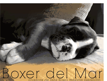 Tablet Screenshot of boxerdelmar.blogspot.com